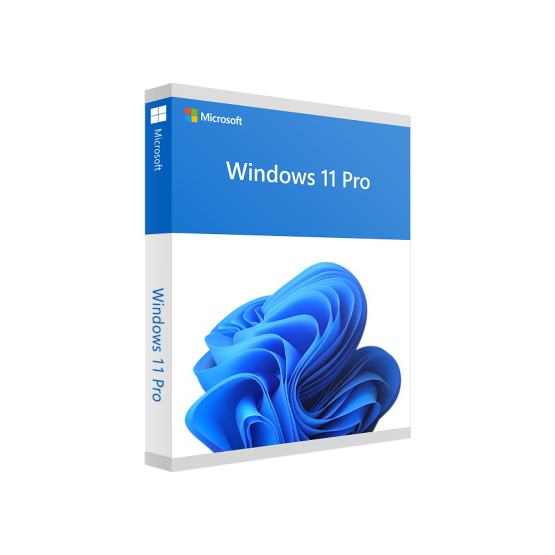 W11